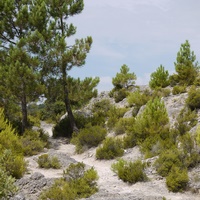 Photo de France - Le Cirque de Mourèze et le Lac du Salagou